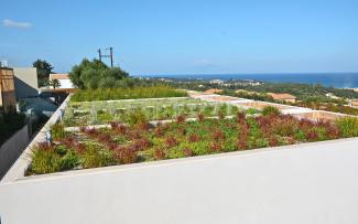The vegetation, planted as rootball plants, soon covered the entire area, given that it is perfectly tailored to suit the Mediterranean climate. © egreen / ZinCo Extensive green roofs in front of the sea